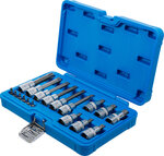 Bit Socket Set (1/4) / (1/2) Drive T-Star tamperproof (for Torx) 18 pcs