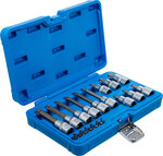 Bit Socket Set (1/4) / (1/2) Drive T-Star tamperproof (for Torx) 18 pcs