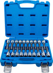 Bit Socket Set (1/2) Drive Internal Hexagon T-Star (for Torx) Spline (for XZN) with Ball Head 20 pcs