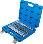 Bit Socket Set (1/2) Drive Internal Hexagon T-Star (for Torx) Spline (for XZN) with Ball Head 20 pcs