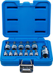 Bit Socket Set (1/4) / (3/8) / (1/2) Drive Internal Hexagon 2 - 14 mm 13 pcs