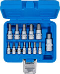 Bit Socket Set (1/4) / (3/8) / (1/2) Drive Internal Hexagon 2 - 14 mm 13 pcs