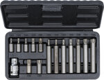 Bit Set 10 mm (3/8) Drive T-Star (for Torx) 15 pcs