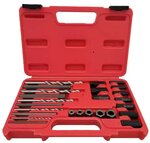 Screws and stud removal set 25-piece