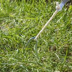 Tent peg 22cm metal with open eye