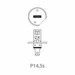 Car lamp 12V 55W P14.5s H1 in box