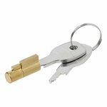 Plug lock for ball coupling
