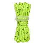 Guide line set fluorescent