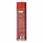 Fire extinguisher 0.6L AB F foam NL
