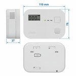 Carbon monoxide detector