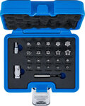 Bit Set TS-Star (for Torx Plus) 23 pcs