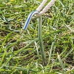 Tent peg 30cm metal with open eye x5 pieces