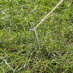 Tent peg 22cm aluminum half-round x10 pieces