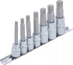 Bit Socket Set 3/8 / 1/2 drive Spline M6 - M14
