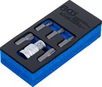 Screwdriver Bit Set (3/8) hex Drive Spline (for XZN) 6 pcs