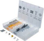 300-piece Automotive Clip Assortment for Renault