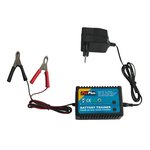 Battery trainer 12V