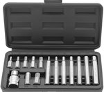 15-piece Internal Hexagon Bit Set