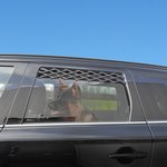 Car window vent