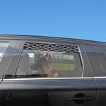 Ventilation grille for car window