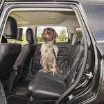 Dog leash for car seat belt