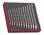 Ratchet spanner ring set 12-piece ted tray