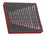 Combination spanner set 15-piece ted tray