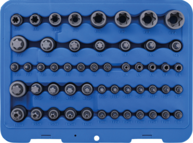 Bit Socket and Socket Set E-Type / T-Star (for Torx) / T-Star tamperproof (for Torx) / TP-Star (for Torx Plus) 52 pcs