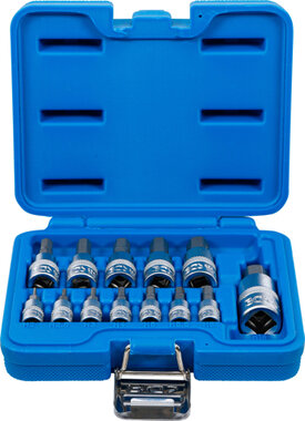 Bit Socket Set (1/4) / (3/8) / (1/2) Drive Internal Hexagon 2 - 14 mm 13 pcs
