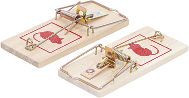 Mousetrap 2 pcs