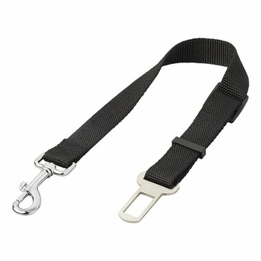 Dog leash for car seat belt