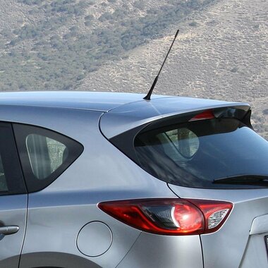 Car antenna incl. M5 M6 adapters