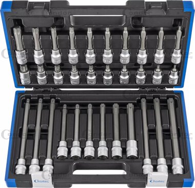 Socket wrench bit set 1/2 TP profile (for Torx Plus) T20 - T70 32-piece