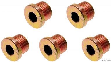 Oil Drain Plug for BGS 126 M17 x 1.5 mm 5 pcs.