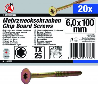Multi-Purpose Screws, 6.0 x 100 mm, T25, 20 pieces